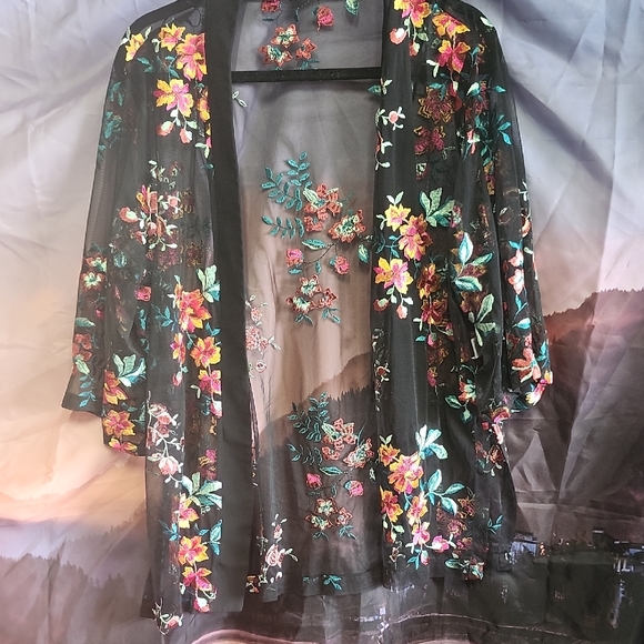 Floral Embroidered Sheer Jacket - Picture 1 of 2